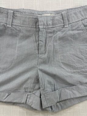 Banana Republic Blue Micro-Striped High-Rise Shorts